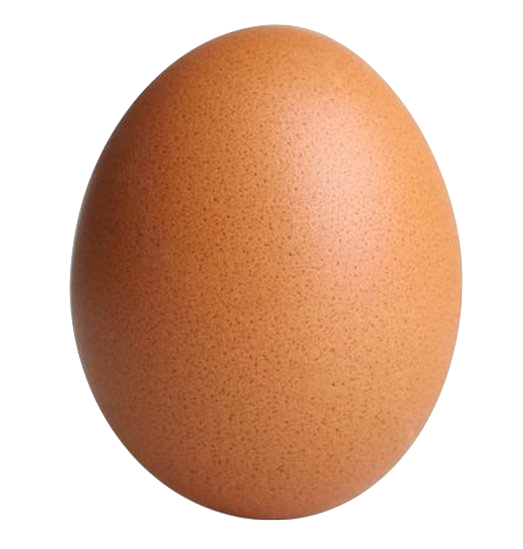 Huevo