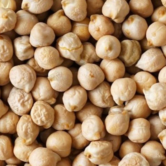 Garbanzo