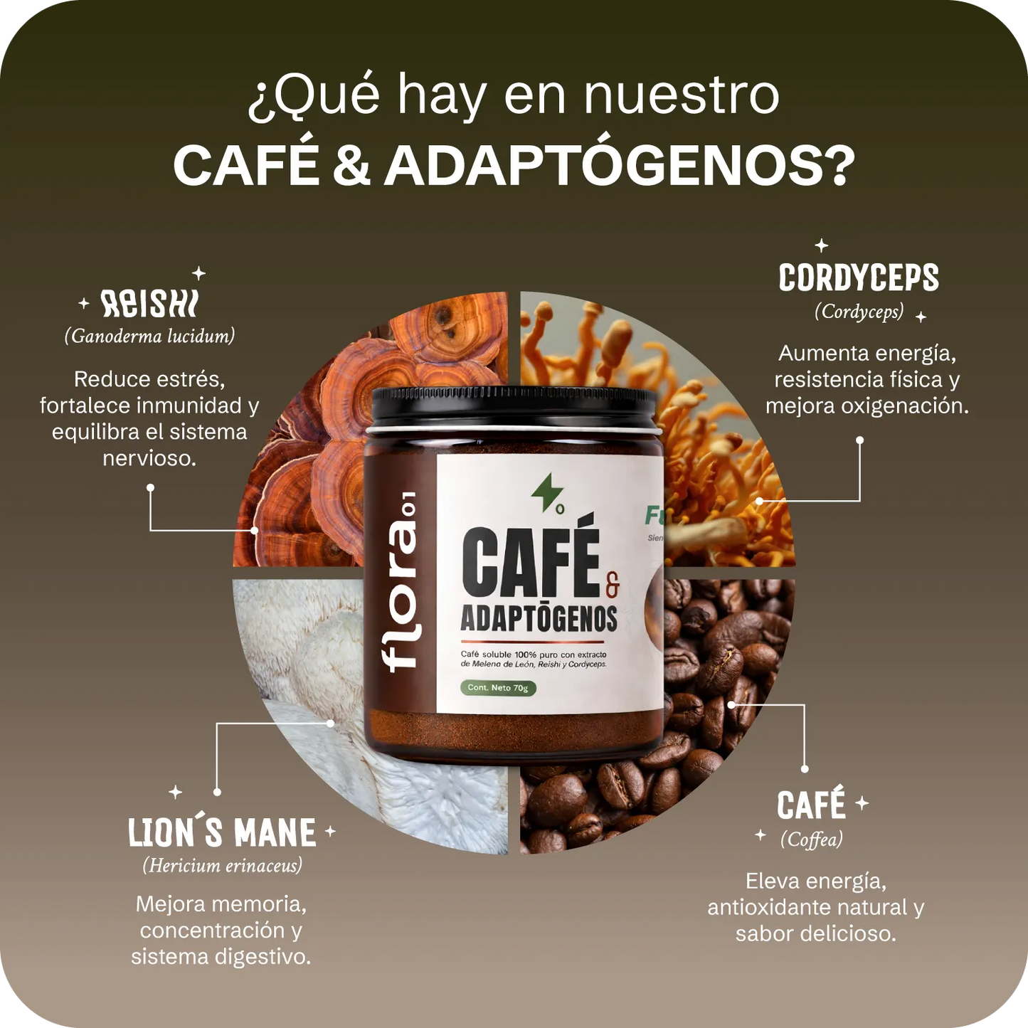 Café & Adaptógenos