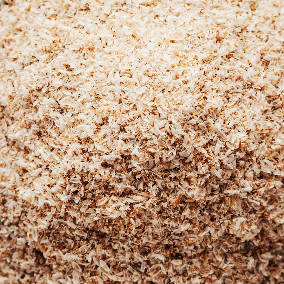 Psyllium
