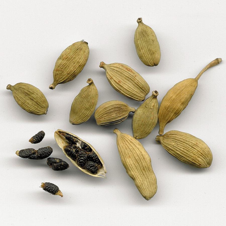 Cardamomo