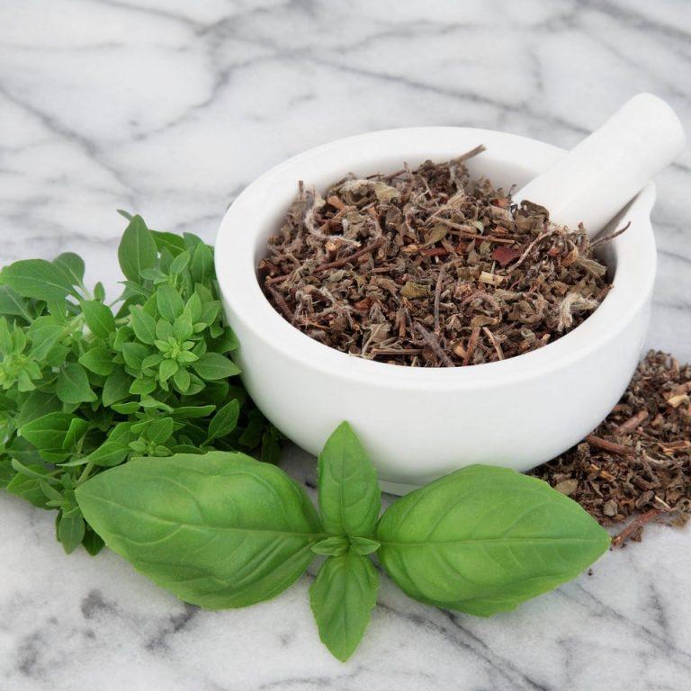 Albahaca