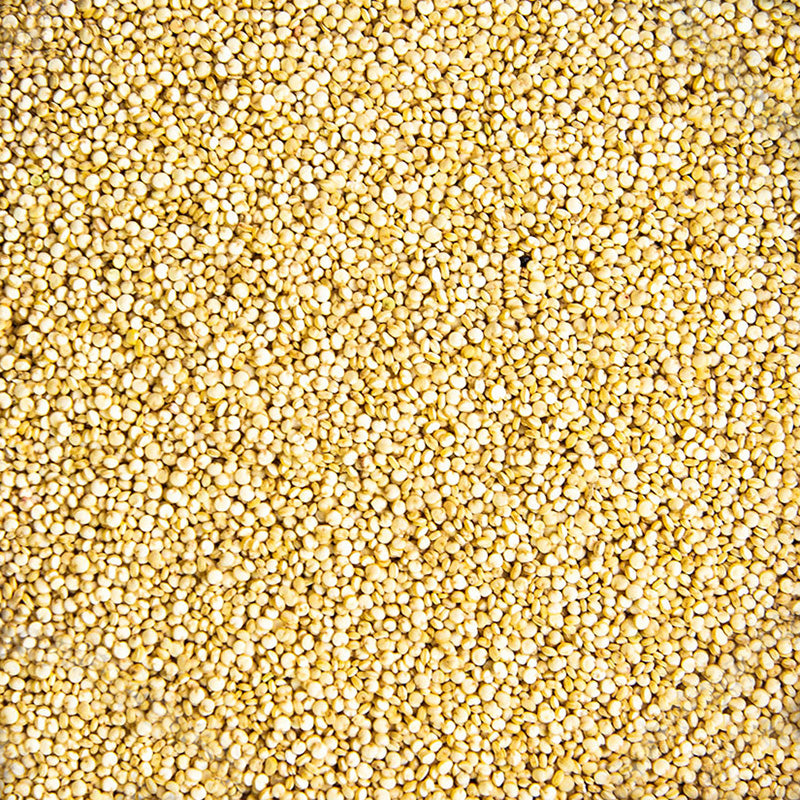Quinoa Blanca