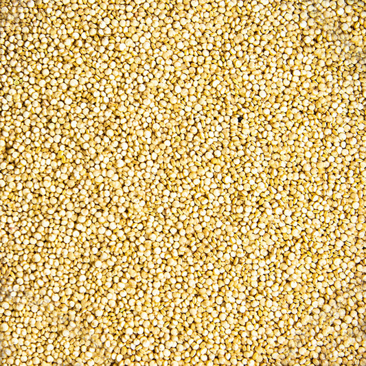 Quinoa Blanca