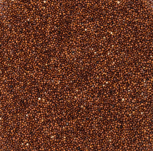Quinoa Roja
